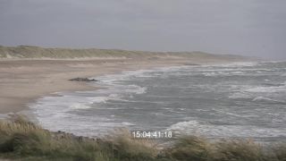Link to Video | sea, Full High Definition, color, Denmark, 2022, cloud