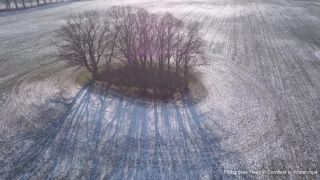 Link to Video