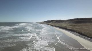 Link to Video