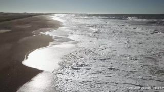 Link to Video