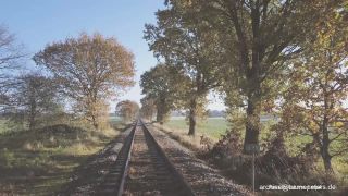 Link to Video