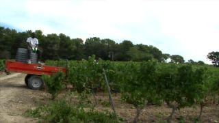 Link to Video