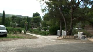 Link to Video