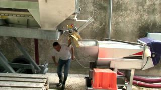 Link to Video | Southern France, summer, France, winery, color, 4K resolution, Bodin, Cassis, tourism region, Europe, day, tourism destination