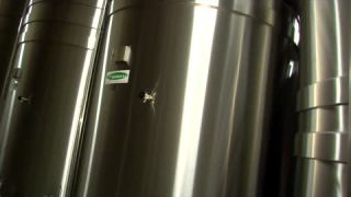 Link to Video