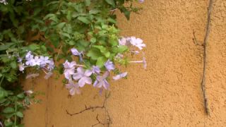 Link to Video | 4K resolution, Le Castelet