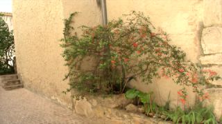 Link to Video | Southern France, summer, France, 4K resolution, tourism region, Le Castelet, Mediterranean Basin