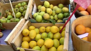 Link to Video | Southern France, summer, market, France, market stall, color, 4K resolution, Toulon, day, Mediterranean Basin