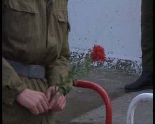 Link to Video | November, autumn, historical event, German Democratic Republic, Eastern Bloc, color, standard-definition television, Revolutions of 1989, Peaceful Revolution, Berlin Wall, West Berlin, East Berlin, Die Wende and Peaceful Revolution, fall of the Berlin Wall, West Germany, Cold War, eastern Germany