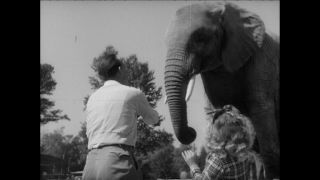 Link to Video | Paul Karl Lieberenz, Munich, Hellabrunn Zoo