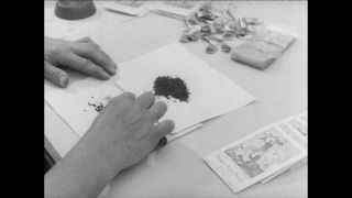 Link to Video | Paul Karl Lieberenz, Germany, craft, 1950s, agribusiness, agricultural production