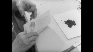 Link to Video | Paul Karl Lieberenz, Germany, craft, 1950s, agribusiness, agricultural production