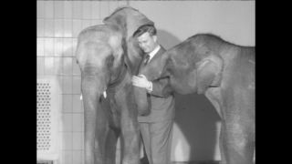 Link to Video | Paul Karl Lieberenz, Munich, Hellabrunn Zoo