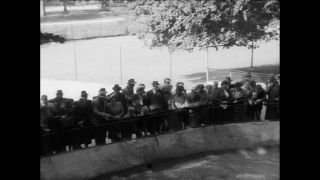 Link to Video | Paul Karl Lieberenz, Munich, Hellabrunn Zoo