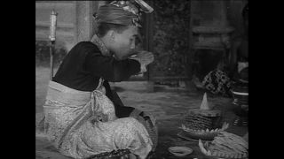 Link zum Video | Paul Lieberenz