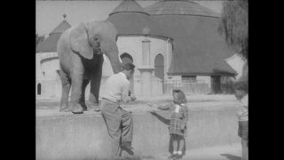 Link to Video | Paul Karl Lieberenz, Munich, Hellabrunn Zoo