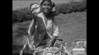 Link to Video | Paul Karl Lieberenz