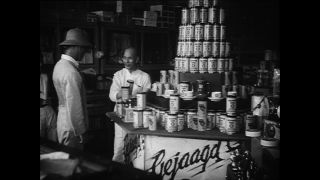 Link zum Video | Paul Lieberenz