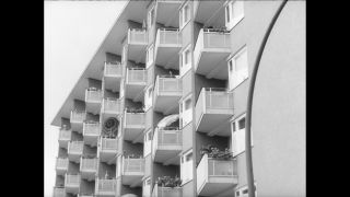 Link to Video | Paul Karl Lieberenz