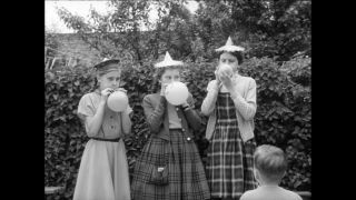 Link to Video | Paul Karl Lieberenz, square, Kleingärtner, fuddy-duddy