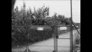 Link to Video | Paul Karl Lieberenz, square, Kleingärtner, fuddy-duddy