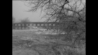 Link to Video | Paul Karl Lieberenz