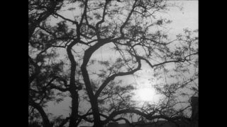 Link to Video | Paul Karl Lieberenz, square, Kleingärtner, fuddy-duddy