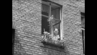 Link to Video | Paul Karl Lieberenz