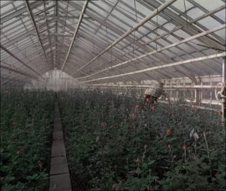 Link to Video | Paul Karl Lieberenz, Germany, craft, 1950s, agribusiness, agricultural production