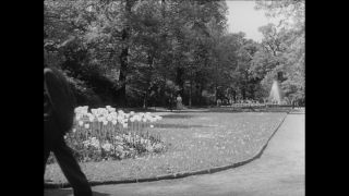 Link to Video | Paul Karl Lieberenz, 50s, Berlin Zoological Garden, Germany, zoo, West Berlin, Berlin, animal, black and white