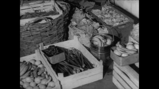 Link to Video | Paul Karl Lieberenz, 50s, Berlin Zoological Garden, Germany, zoo, West Berlin, Berlin, animal, black and white