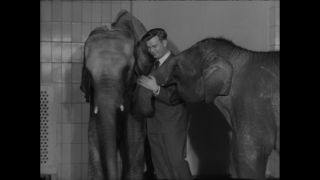 Link to Video | Paul Karl Lieberenz, 50s, Berlin Zoological Garden, Germany, zoo, West Berlin, Berlin, animal, black and white