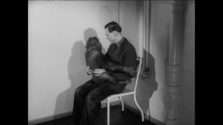 Link to Video | Paul Karl Lieberenz, 50s, Berlin Zoological Garden, Germany, zoo, West Berlin, Berlin, animal, black and white