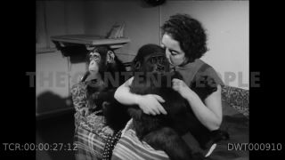 Link to Video | Paul Karl Lieberenz, 50s, Berlin Zoological Garden, Germany, zoo, West Berlin, Berlin, animal, black and white