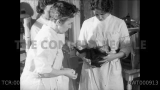 Link to Video | Paul Karl Lieberenz, 50s, Berlin Zoological Garden, Germany, zoo, West Berlin, Berlin, animal, black and white