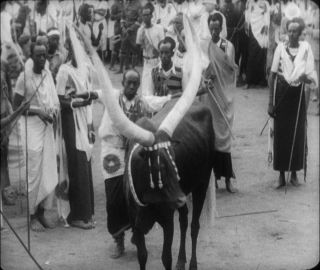 Link to Video | dance, Paul Karl Lieberenz, dancing, music