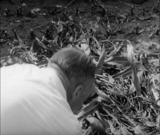 Link to Video | Paul Karl Lieberenz