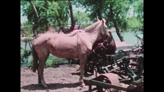 Link zum Video | Paul Lieberenz, Farbe, China