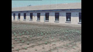 Link to Video | Paul Karl Lieberenz, color, China