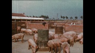 Link zum Video | Paul Lieberenz, Farbe, China