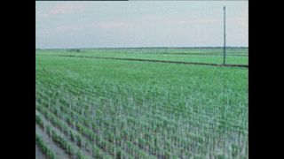 Link to Video | Paul Karl Lieberenz, color, China