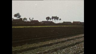 Link to Video | Paul Karl Lieberenz, color, China