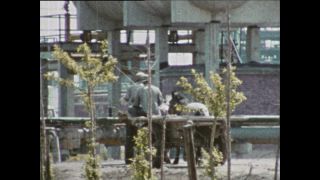 Link to Video | Paul Karl Lieberenz, color, China