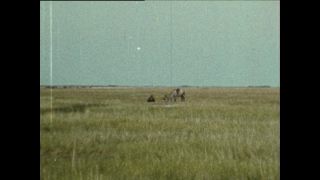 Link to Video | Paul Karl Lieberenz, color, China