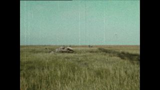 Link to Video | Paul Karl Lieberenz, color, China