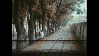 Link to Video | Paul Karl Lieberenz, color, China