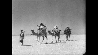 Link to Video | Paul Karl Lieberenz