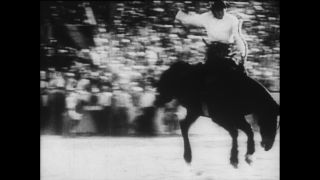 Link to Video | Paul Karl Lieberenz