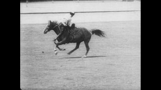 Link to Video | Paul Karl Lieberenz