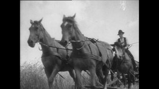 Link to Video | Paul Karl Lieberenz